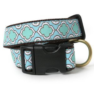 Fancy  Collars on Unleash Your Pet S Style With This Designer Dog Collar