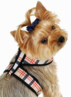 Designer Soft Dog Harness Tan Plaid....Plain or Personalized-wrap soft dog harness designer dog harness tan plaid harness burberry plaid look soft dog harness i see spot personalized soft dog harness