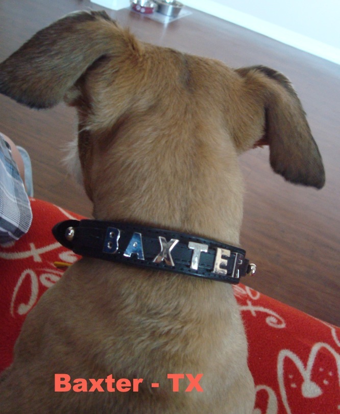 Baxter - TX