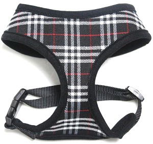 Black Plaid
