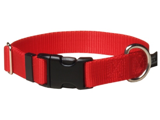Keystone nylon buckle collar red