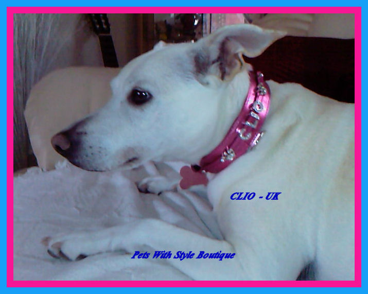 Clio Bling Collar - UK