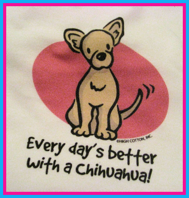 Chihuahua nightshirt