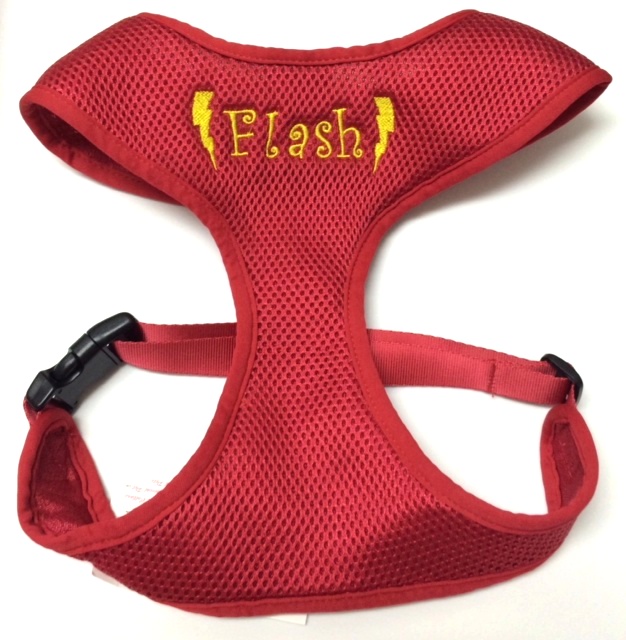 Flash harness