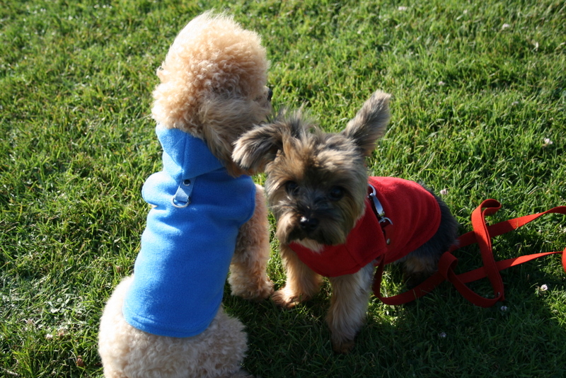 Gooby fleece duo