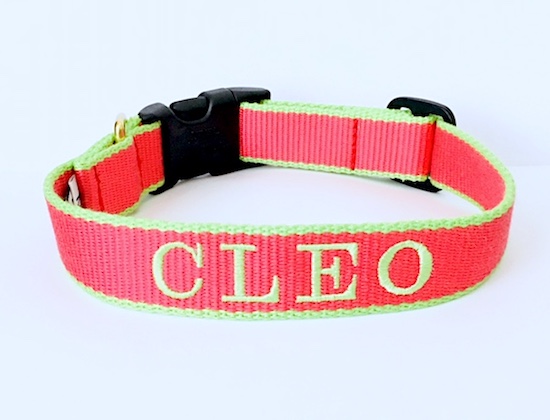 BambooCollarCLEO