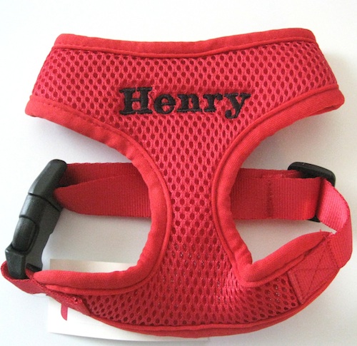Henry block