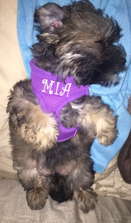 MIAHarness