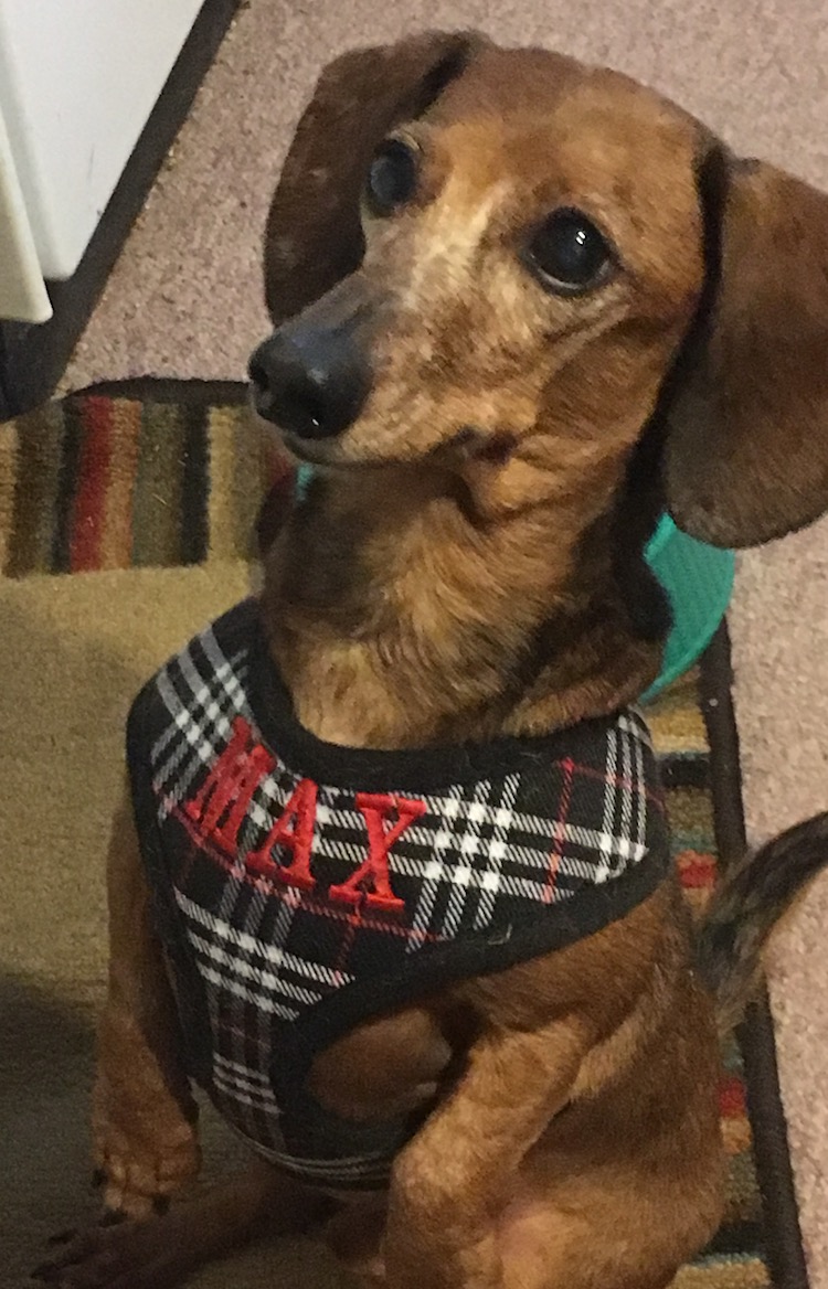 MaxBlackPlaid