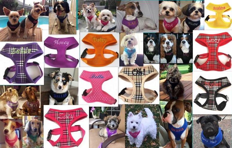 Personalized Dog Harnesses