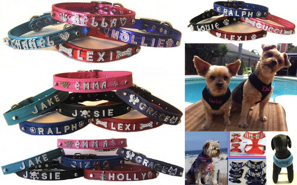 Personalized collar/harness collage