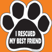 I Rescued My Best Friend