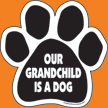 Our Grandchild is a Dog