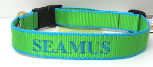 Personalized Bamboo Lime Green