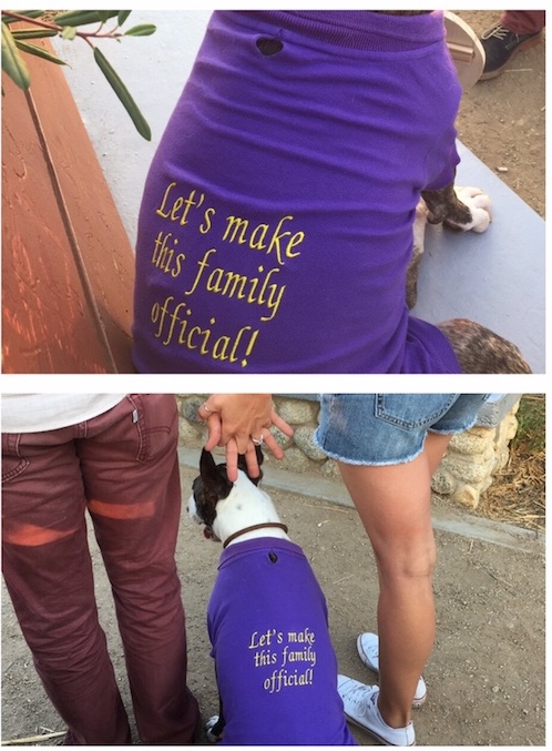 dog proposal shirts