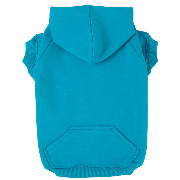 Turquoise hoodie