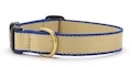 Bamboo Tan & Royal Blue collar
