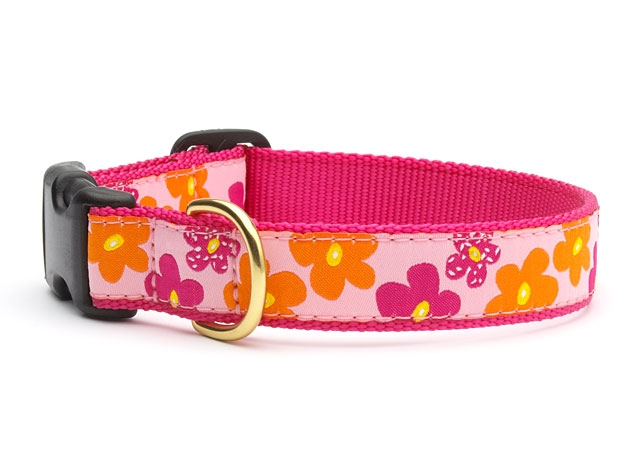 Personalized UpCountry Designer Flower Power Dog Collar