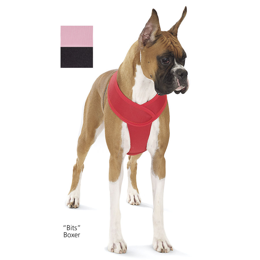 Boxer crossover harness