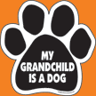 My Grandchild is a Dog