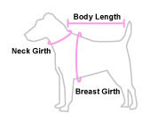 Measure your dog