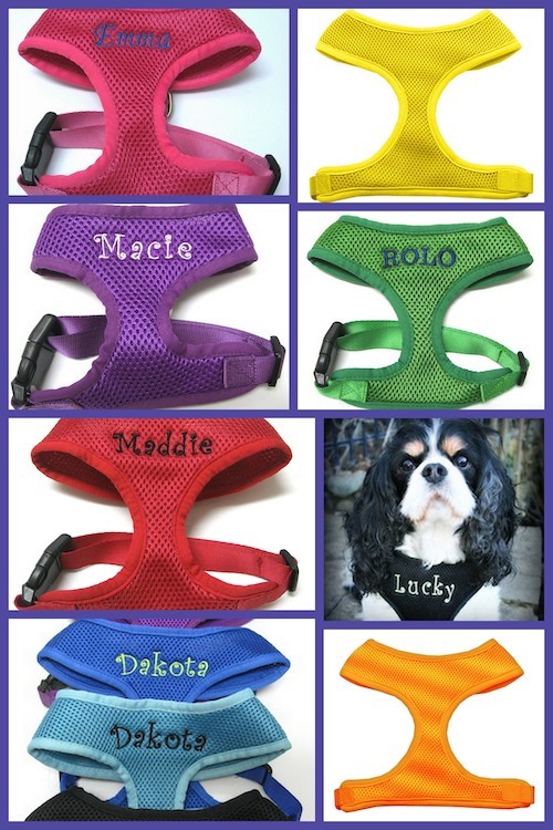 Bling Personalized Dog Harness