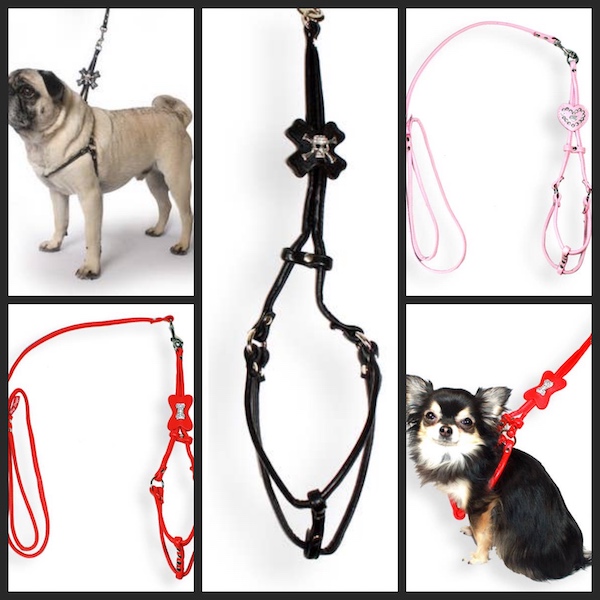 Step in Harness & Leash - Black Skull, Red Bone, Pink Heart for small dogs