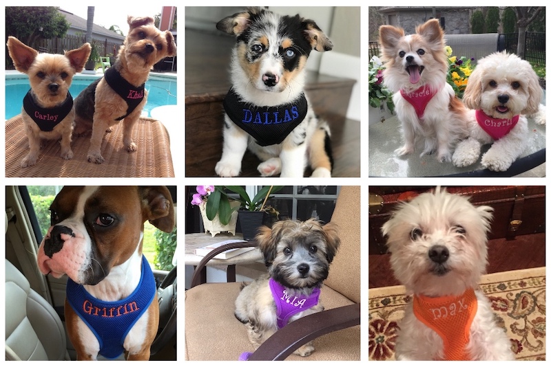#1 Best Seller Personalized Dog Harness Personalized Soft Mesh Custom Embroidered XS-XL, 9 colors