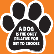 Dog Cat Paw Car Magnets Great for Pet Lovers - Over 20+ Cute Sayings