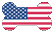USA Bone Flag